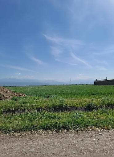 324 соток, Для сельского хозяйства, Договор купли-продажи at lalafo.kg 324 соток, Для сельского хозяйства, Договор купли-продажи