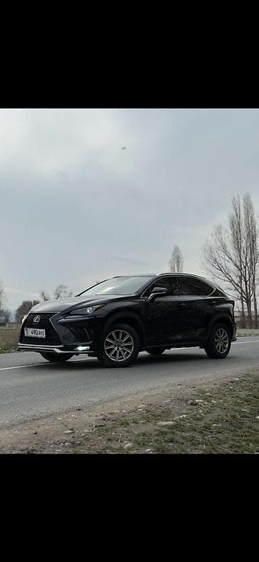 Lexus NX: 2019 г., 2 л, Автомат, Бензин, Кроссовер at lalafo.kg Lexus NX: 2019 г., 2 л, Автомат, Бензин, Кроссовер
