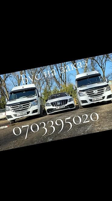 Бус на заказ Спринтер Рекс на заказ Микроавтобус на заказ at lalafo.kg Бус на заказ Спринтер Рекс на заказ Микроавтобус на заказ