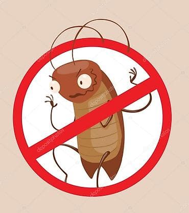 Дезинфекция, дезинсекция, | Клопы, Блохи, Тараканы, | Транспорт, Офисы, Квартиры at lalafo.kg Дезинфекция, дезинсекция, | Клопы, Блохи, Тараканы, | Транспорт, Офисы, Квартиры