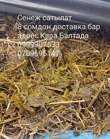 Силос россыпной 7сомдон, Сенеж россыпной 8 сомдон, доставка 1 тоннадан at lalafo.kg Силос россыпной 7сомдон, Сенеж россыпной 8 сомдон, доставка 1 тоннадан