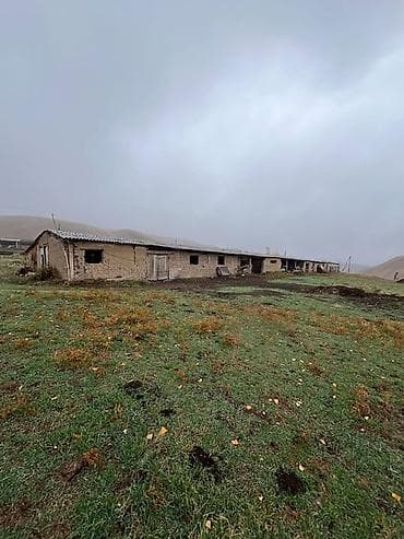 Сокулук районунун Төш Булак айылынан 1га жери менен кашар сатылат at lalafo.kg Сокулук районунун Төш Булак айылынан 1га жери менен кашар сатылат