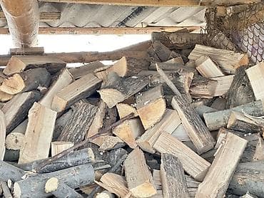 Дрова at lalafo.kg Дрова