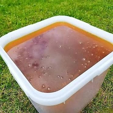 Поставки мёда оптом из России. ГОСТ 17 Мёд натуральный at lalafo.kg Поставки мёда оптом из России. ГОСТ 17 Мёд натуральный