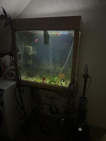 Аквариум с оборудованием и декоративной подставкой. - Прямоугольный at lalafo.kg Аквариум с оборудованием и декоративной подставкой. - Прямоугольный
