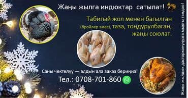 Индюк at lalafo.kg Индюк