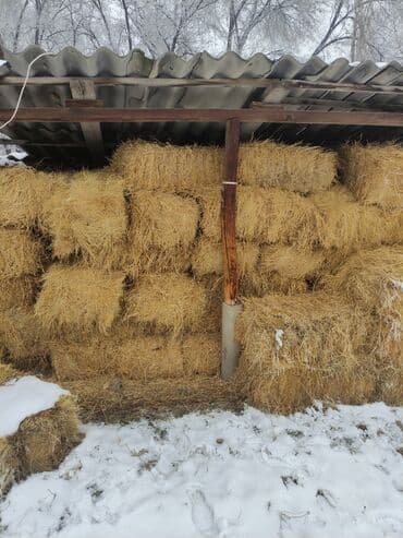 Солома в тюках. - Прессованные тюки прямоугольной формы, аккуратная at lalafo.kg Солома в тюках. - Прессованные тюки прямоугольной формы, аккуратная