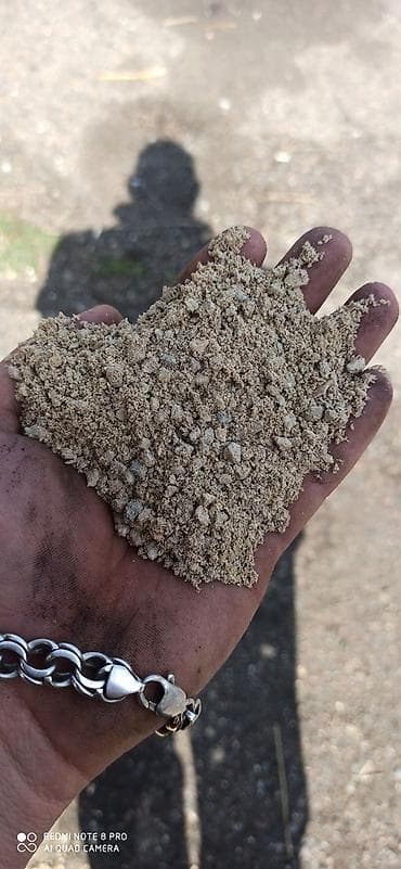 Ракушечник для птиц 7сом кг at lalafo.kg Ракушечник для птиц 7сом кг