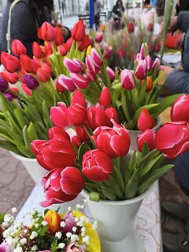 LED гирляндалар: ЯРМАРКА ВЕФА ГОРЬКОГО Тюльпаны и готовые букеты - Сорта и расцветки lalafo.kg да — 2 LED гирляндалар: ЯРМАРКА ВЕФА ГОРЬКОГО Тюльпаны и готовые букеты - Сорта и расцветки — 2