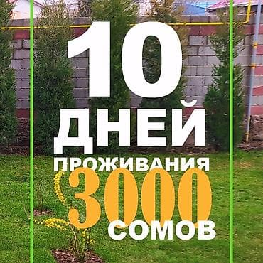 Хостел Бинур - уютно, как дома! 750 сомов а сутки. 3000 на 10 дней за at lalafo.kg Хостел Бинур - уютно, как дома! 750 сомов а сутки. 3000 на 10 дней за