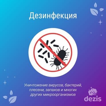 Стирка, прачечная: Дезинфекция, дезинсекция, | Клопы, Блохи, Тараканы, | Транспорт, Офисы, Квартиры at lalafo.kg — 4 Стирка, прачечная: Дезинфекция, дезинсекция, | Клопы, Блохи, Тараканы, | Транспорт, Офисы, Квартиры — 4