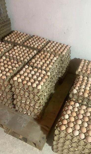 С1 15сом at lalafo.kg С1 15сом