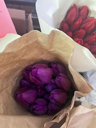 Бонбоньерки: Тюльпаны в крафт-упаковке - Срезанные тюльпаны с плотным бутоном at lalafo.kg — 8 Бонбоньерки: Тюльпаны в крафт-упаковке - Срезанные тюльпаны с плотным бутоном — 8