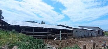 Дом, 1000 м², 2 комнаты, Собственник, Старый ремонт at lalafo.kg Дом, 1000 м², 2 комнаты, Собственник, Старый ремонт