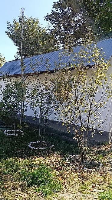 Дачаларды сатуу: Срочно срочно дача сатылат Сокулуктан дача Вишенка 5 сотых 3 ком lalafo.kg да — 4 Дачаларды сатуу: Срочно срочно дача сатылат Сокулуктан дача Вишенка 5 сотых 3 ком — 4