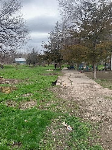 87 соток, Для бизнеса, Красная книга, Тех паспорт at lalafo.kg — 9 87 соток, Для бизнеса, Красная книга, Тех паспорт — 9