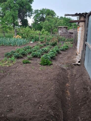 дом пакровка: Дом, 1963 м², 4 комнаты, Собственник, Косметический ремонт at lalafo.kg — 6 дом пакровка: Дом, 1963 м², 4 комнаты, Собственник, Косметический ремонт — 6