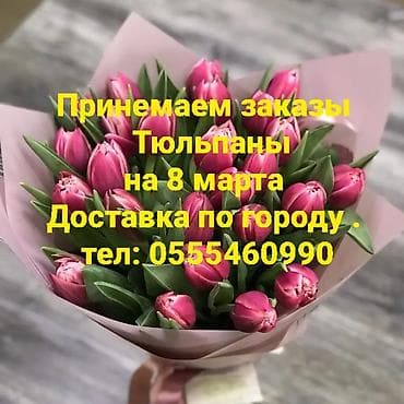 Тюльпаны к 8 Марта - Яркие свежесрезанные тюльпаны. - Принимаем at lalafo.kg Тюльпаны к 8 Марта - Яркие свежесрезанные тюльпаны. - Принимаем