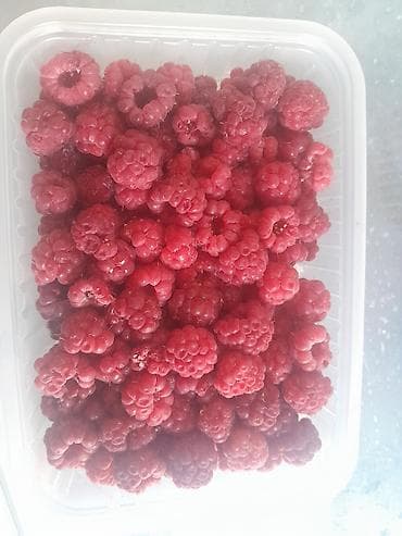 Иссык-Куль 2026 at lalafo.kg Иссык-Куль 2026