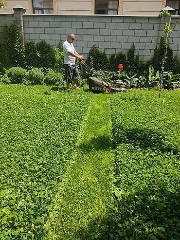 Сеем и косим газонную травууслуги ландшафтный дизайнер,услуги lalafo.kg да — 4 Сеем и косим газонную травууслуги ландшафтный дизайнер,услуги — 4