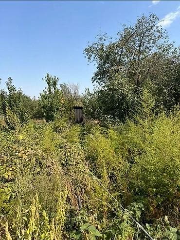 Продажа дач: Срочно продается участок в селе Кунтуу 📍 Локация: с. Кунтуу 📐 Площадь at lalafo.kg — 3 Продажа дач: Срочно продается участок в селе Кунтуу 📍 Локация: с. Кунтуу 📐 Площадь — 3