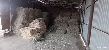 Жылма дарбазалар: Аренда на берилет - Конструкция: секционные откатные/раздвижные lalafo.kg да — 3 Жылма дарбазалар: Аренда на берилет - Конструкция: секционные откатные/раздвижные — 3