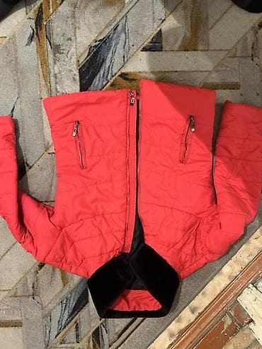 Классикалык желеттер: Башка желеттер түсү - Кызыл lalafo.kg да — 2 Классикалык желеттер: Башка желеттер түсү - Кызыл — 2