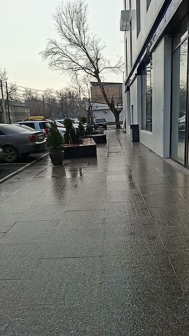 Сдаю мед.кабинет 33м2 по 22$ за м2. По адресу Шевченко 4 at lalafo.kg Сдаю мед.кабинет 33м2 по 22$ за м2. По адресу Шевченко 4