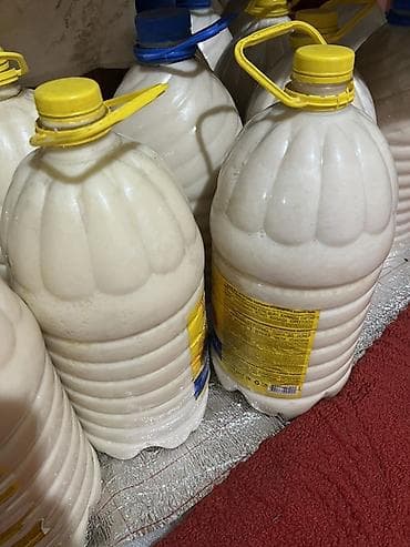 Тон май срочно 3 тонна бар уйдуку высший сорт at lalafo.kg Тон май срочно 3 тонна бар уйдуку высший сорт