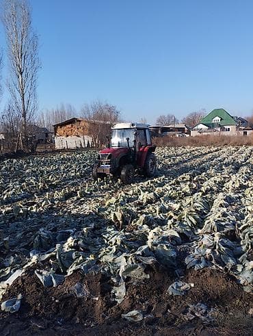 Мини-трактор с кабиной,срочно срочно срочно ☎️☎️☎️ юто 304 мини at lalafo.kg Мини-трактор с кабиной,срочно срочно срочно ☎️☎️☎️ юто 304 мини