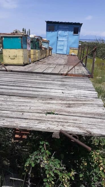 Прицеп at lalafo.kg Прицеп