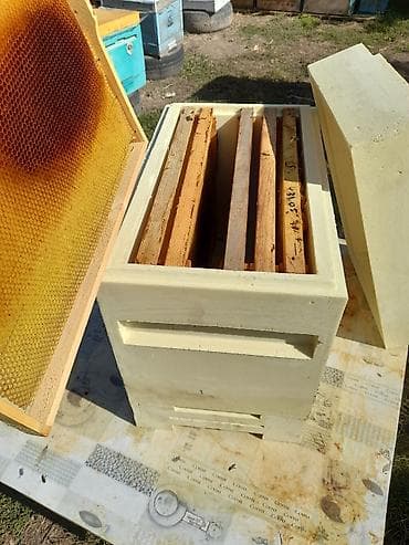 Толь: Полиуретановые ульи для пчеловодства - Материал: литой ППУ at lalafo.kg — 9 Толь: Полиуретановые ульи для пчеловодства - Материал: литой ППУ — 9