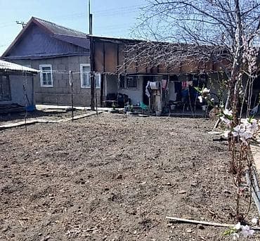 Продается жилой дом. Участок 8. Адрес: Колхозный 14. Ориентир lalafo.kg да — 2 Продается жилой дом. Участок 8. Адрес: Колхозный 14. Ориентир — 2