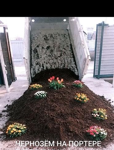 В тоннах, Бесплатная доставка, Платная доставка, Портер at lalafo.kg В тоннах, Бесплатная доставка, Платная доставка, Портер