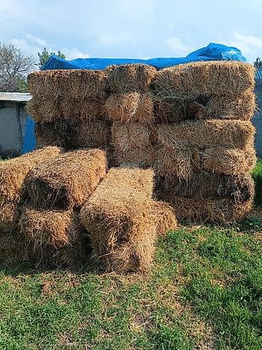 Саман тук менее. эндей да сатылат at lalafo.kg Саман тук менее. эндей да сатылат