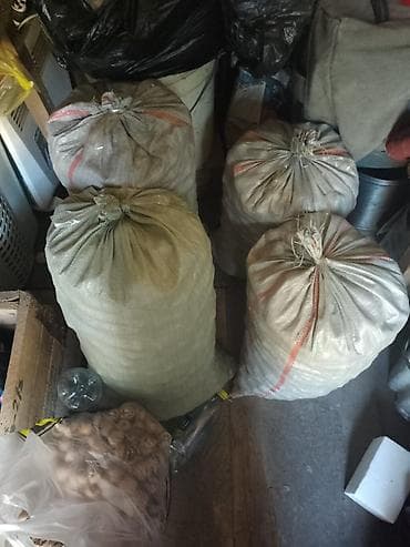Грецкий орех в мешках килограмм 80 сом. - Ядро грецкого ореха в at lalafo.kg Грецкий орех в мешках килограмм 80 сом. - Ядро грецкого ореха в