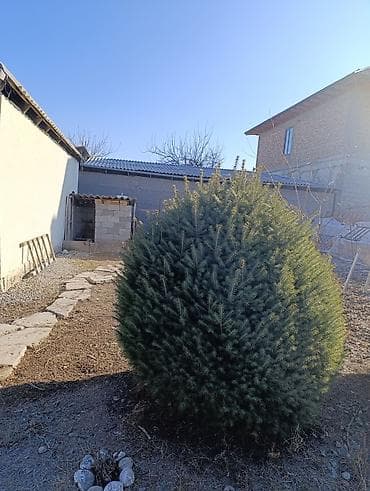 Декор для дома и сада, Самовывоз at lalafo.kg Декор для дома и сада, Самовывоз