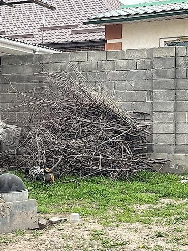 Дрова Самовывоз at lalafo.kg Дрова Самовывоз