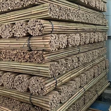 Bamboo sticks at lalafo.kg Bamboo sticks