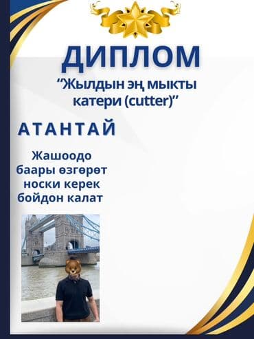 Я дизайнер инфографики,делаю разные карточки,дизайны для ваших маркет at lalafo.kg Я дизайнер инфографики,делаю разные карточки,дизайны для ваших маркет