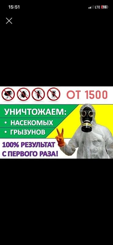 Услуги дезинсекции и дератизации Уничтожаем: - насекомых (клопы at lalafo.kg Услуги дезинсекции и дератизации Уничтожаем: - насекомых (клопы