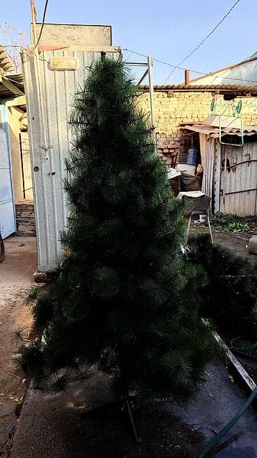 Продаю новогоднюю елку Высотой 1.60 Шикарная елочка 🌲 Состоит из at lalafo.kg Продаю новогоднюю елку Высотой 1.60 Шикарная елочка 🌲 Состоит из