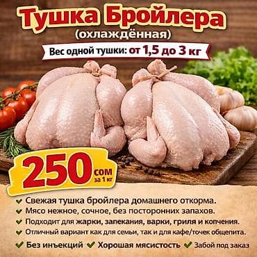 Башка канаттуулардын эти: Тушка бройлера (охлаждённая) - Вес одной тушки: от 1,5 до 3 кг - lalafo.kg да — 1 Башка канаттуулардын эти: Тушка бройлера (охлаждённая) - Вес одной тушки: от 1,5 до 3 кг - — 1