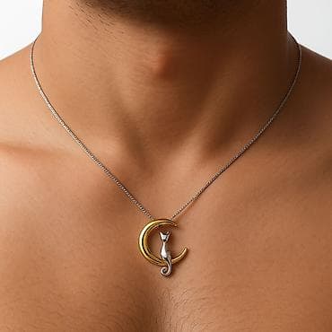 Кулон с цепочкой Луна и Кот О – стильный и символичный аксессуар at lalafo.kg Кулон с цепочкой Луна и Кот О – стильный и символичный аксессуар