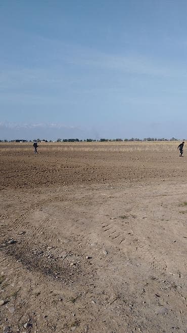 TagAZ: Продаётся хорошая поливная земля в городе карабалта возле at lalafo.kg — 6 TagAZ: Продаётся хорошая поливная земля в городе карабалта возле — 6