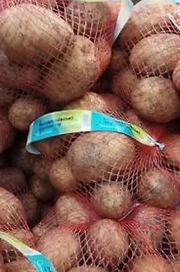 Картошка Пикассо, Оптом at lalafo.kg Картошка Пикассо, Оптом