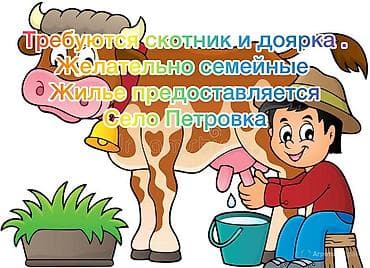 Требуется Доярка, Оплата: Еженедельно at lalafo.kg Требуется Доярка, Оплата: Еженедельно