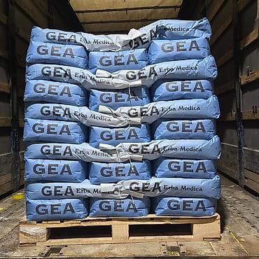 Люцерна «Джеа (GEA)» — максимум корма с каждого гектара Премиальный at lalafo.kg Люцерна «Джеа (GEA)» — максимум корма с каждого гектара Премиальный