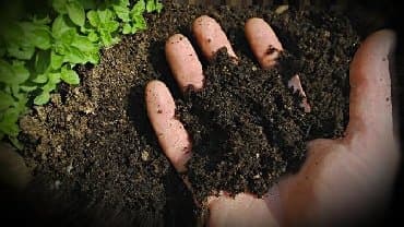 В тоннах, Бесплатная доставка, Зил at lalafo.kg В тоннах, Бесплатная доставка, Зил