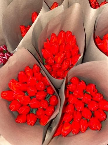 TagAZ: Тюльпаны с луковицей. - Свежесрезанные тюльпаны с плотными at lalafo.kg — 4 TagAZ: Тюльпаны с луковицей. - Свежесрезанные тюльпаны с плотными — 4